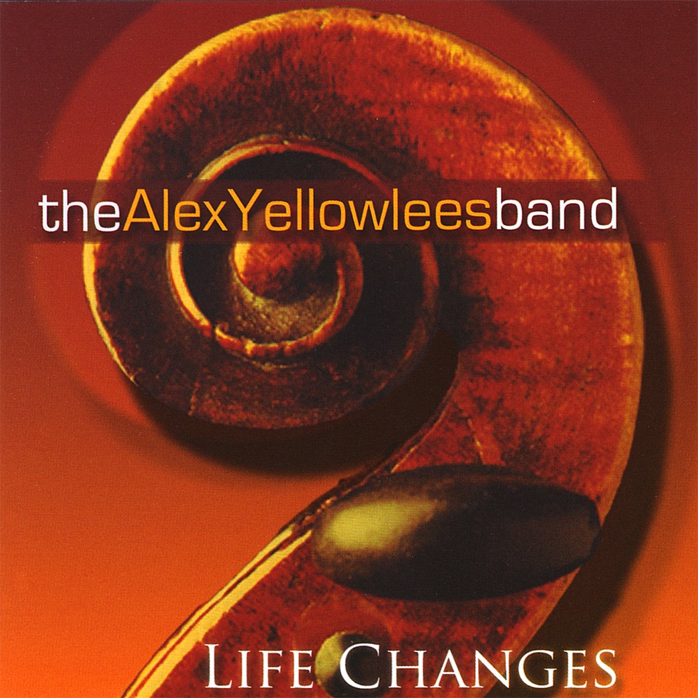 Life Changes Alex Yellowlees Band